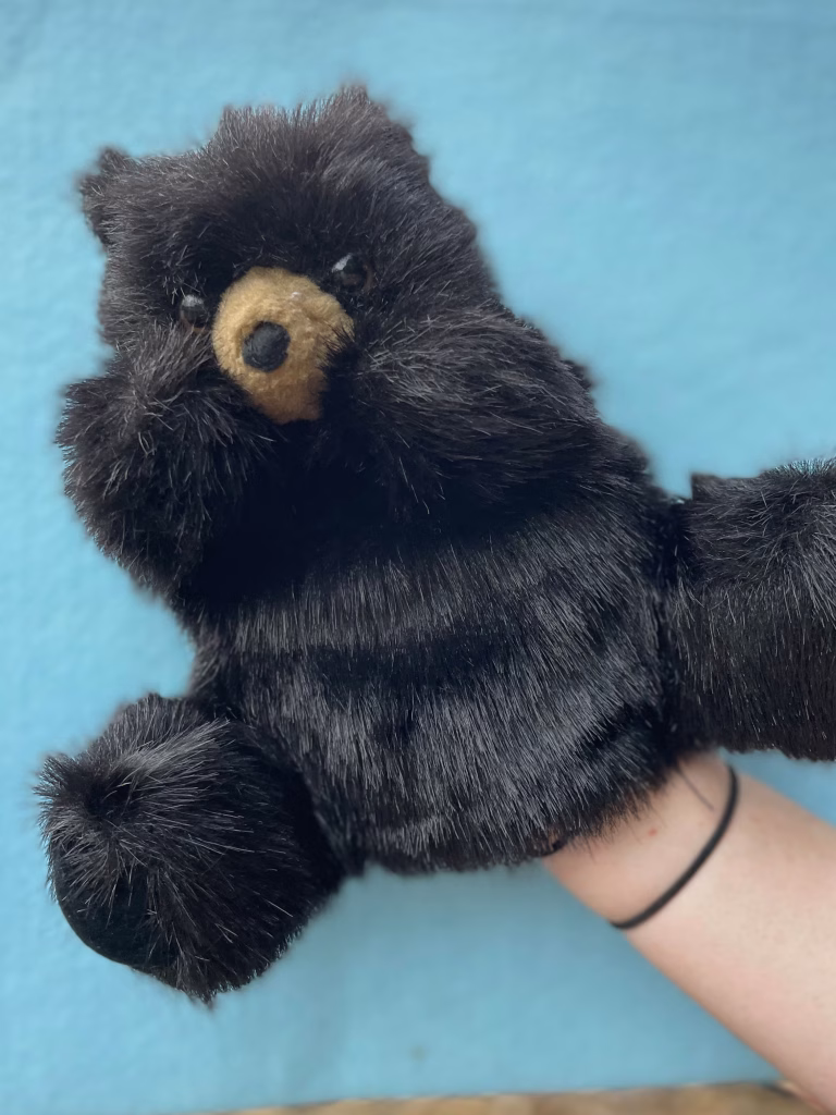 A photo of a brown bear puppet named Bobo.